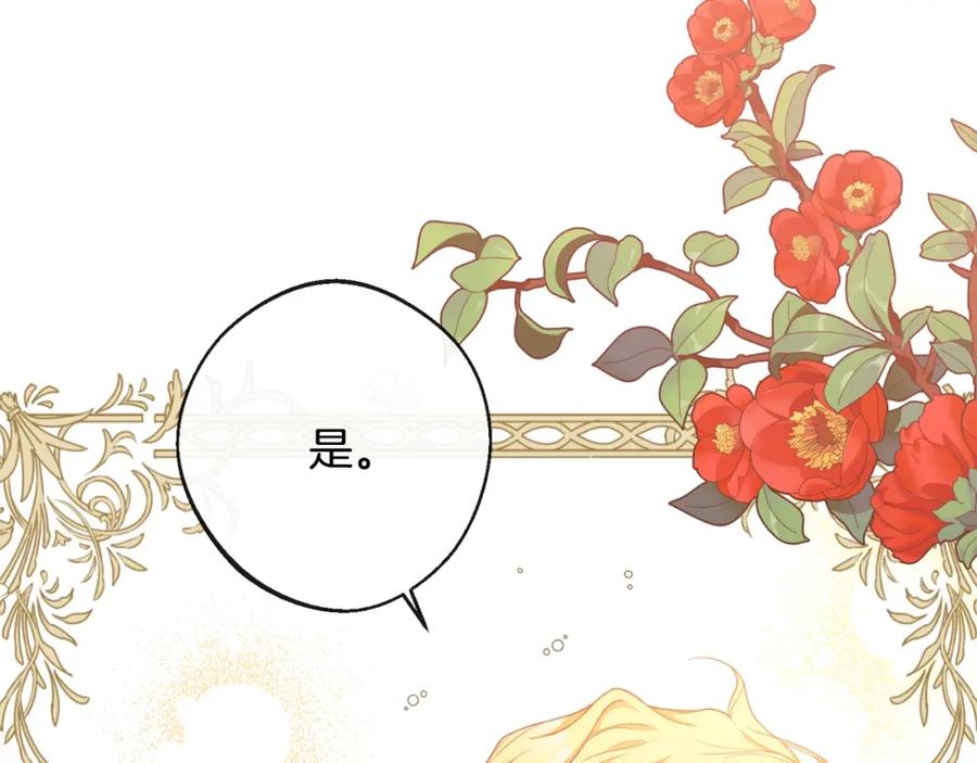第248页