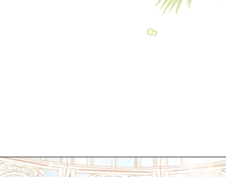 第223页