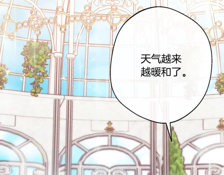 第224页