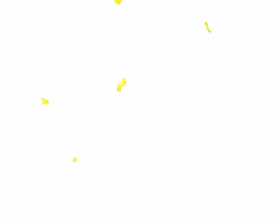 第183页