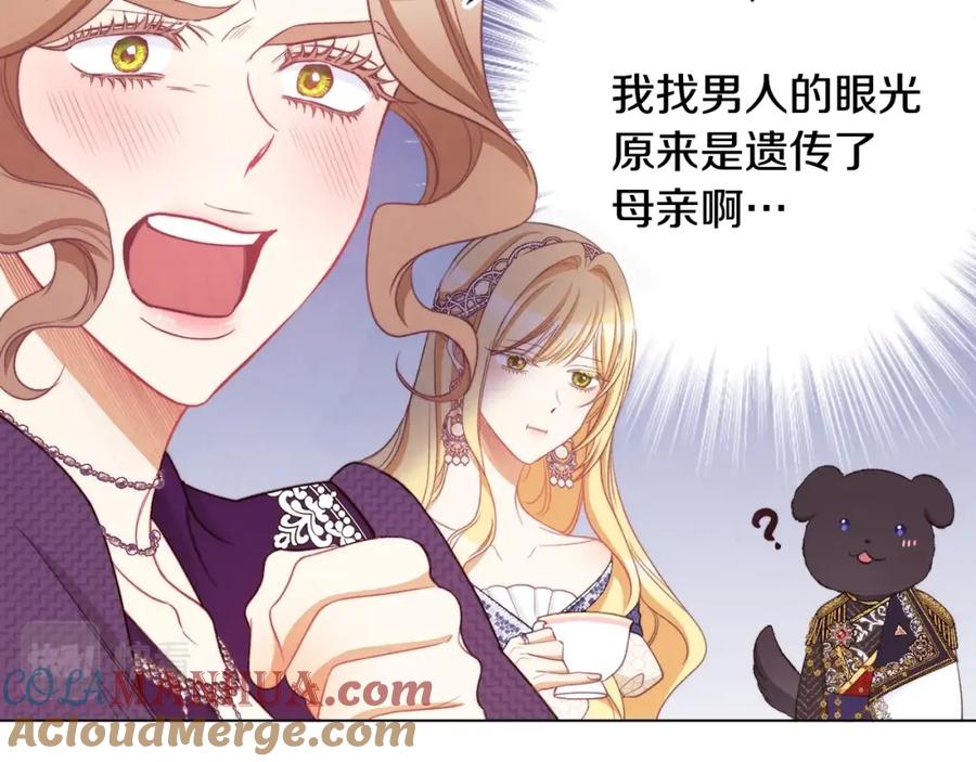 第217页