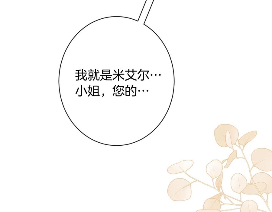 第242页