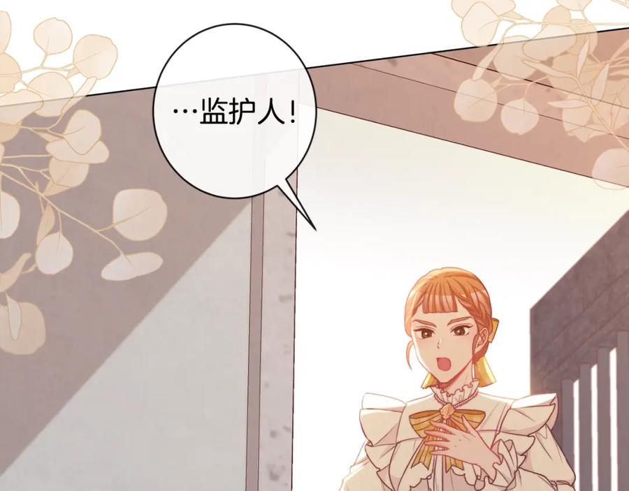 第243页