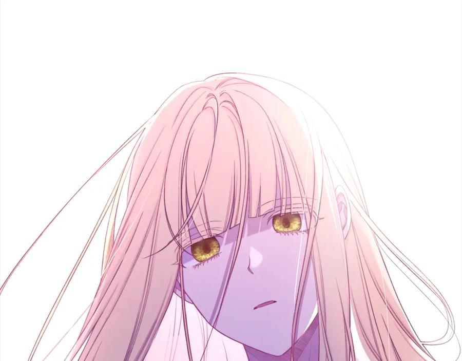 第253页