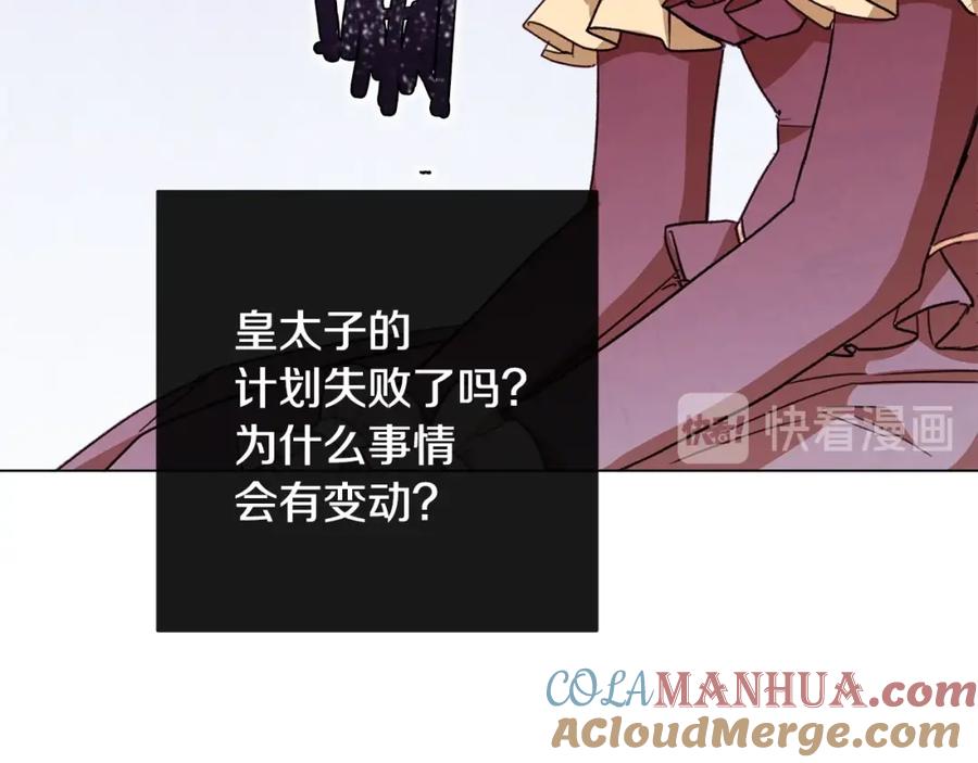 第205页