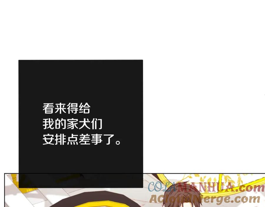 第217页
