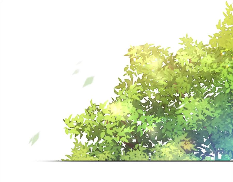 第384页