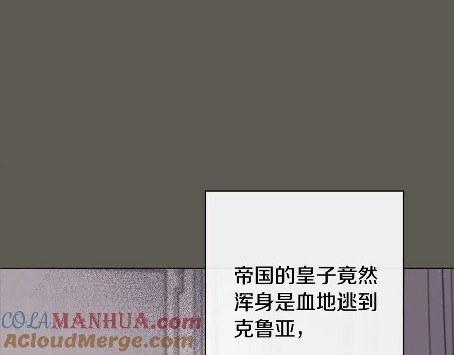 第242页