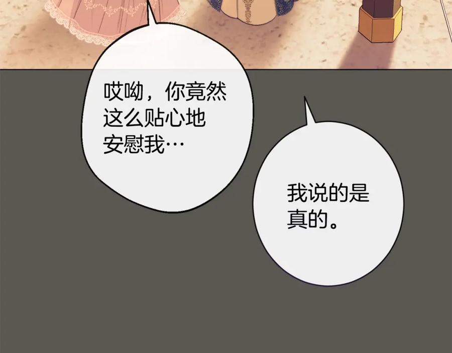 第260页