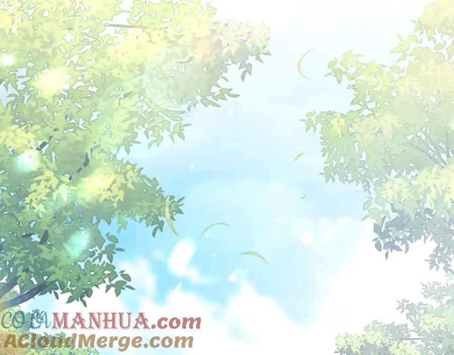 第258页