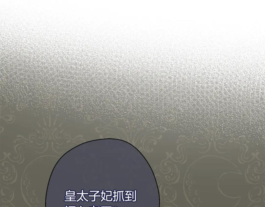 第260页