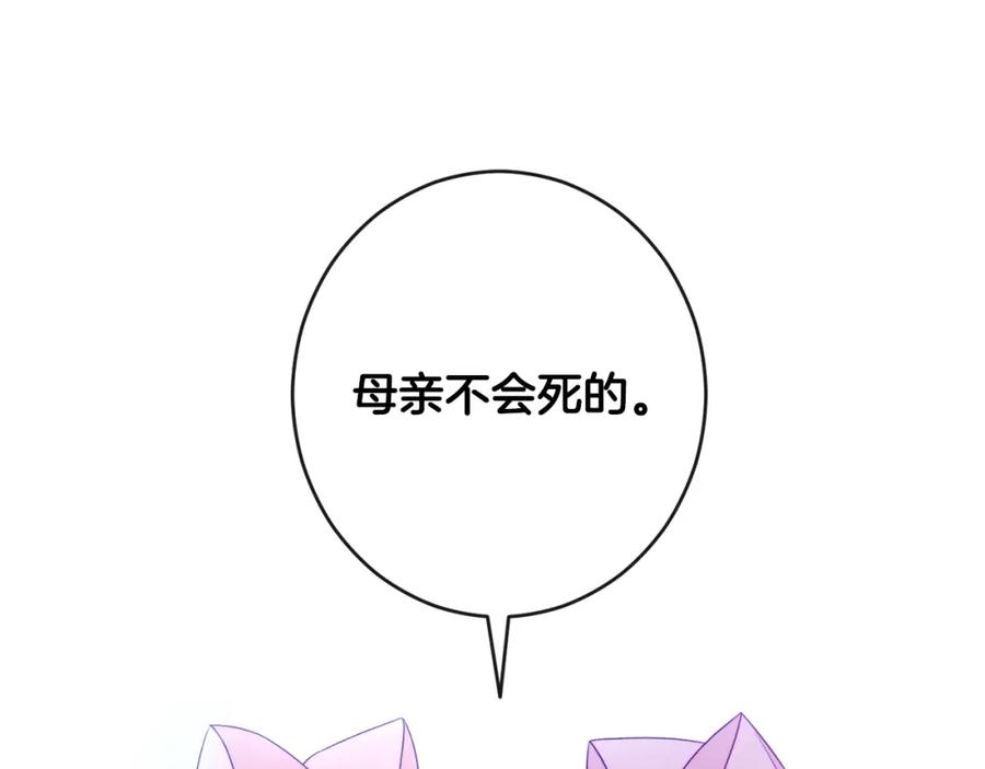 第482页