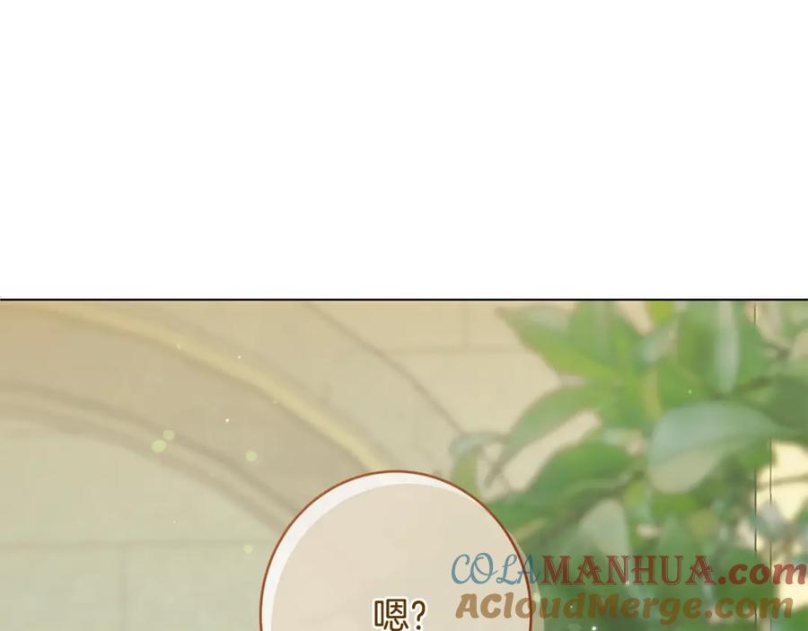 第282页