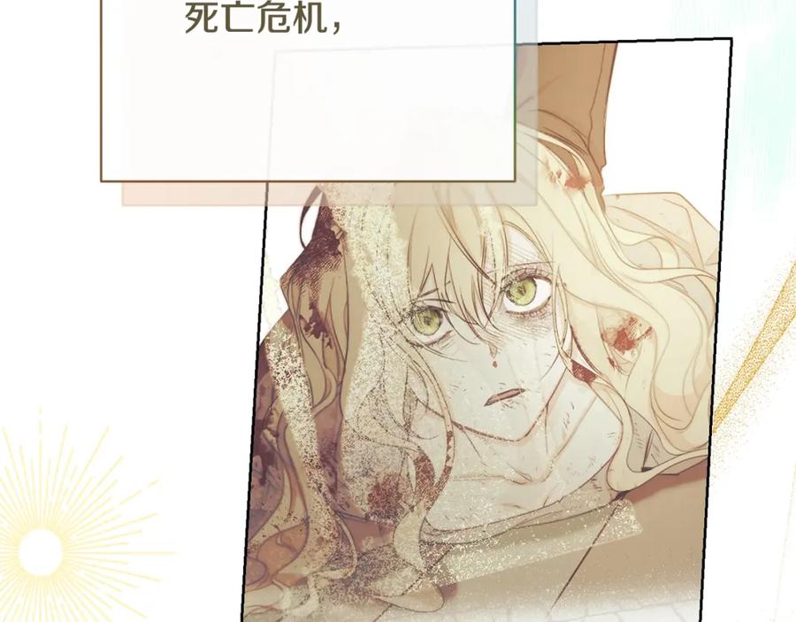 第242页