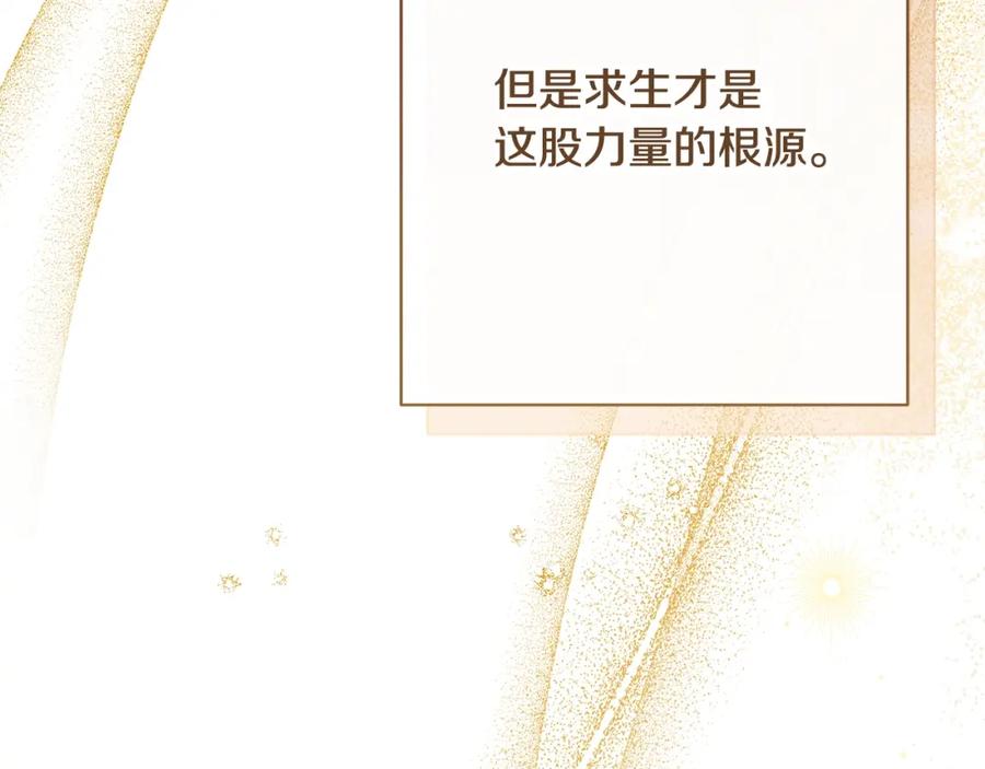 第246页
