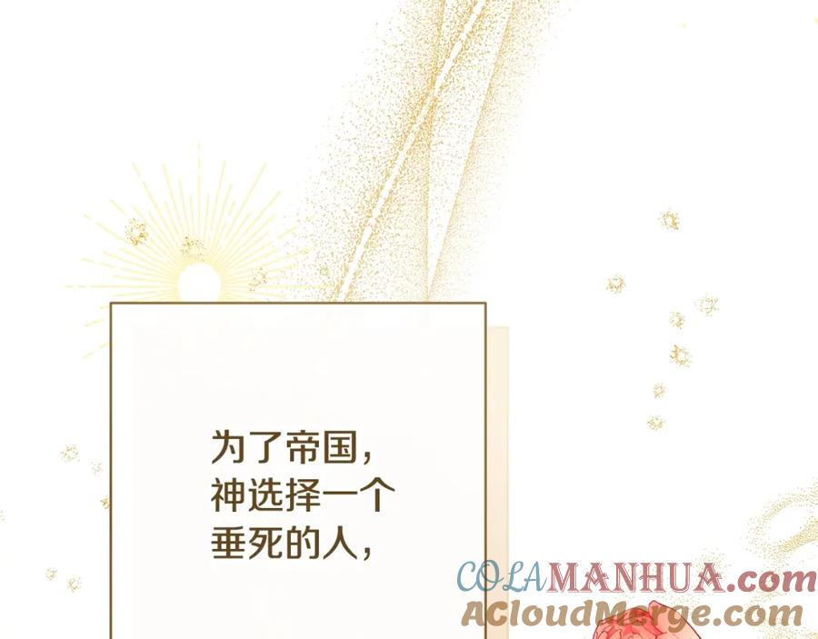 第248页