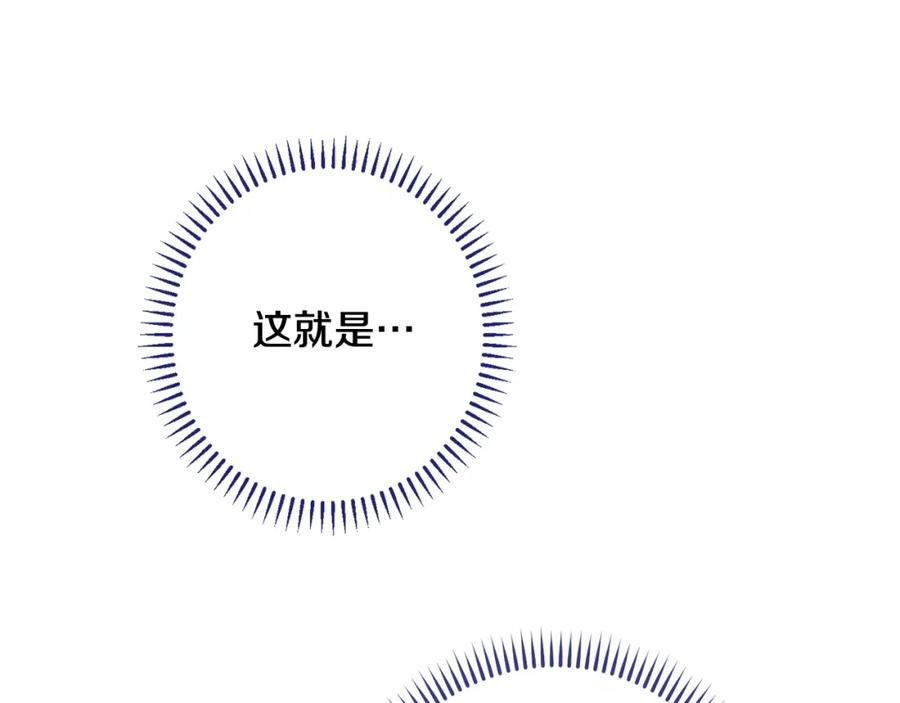 第260页