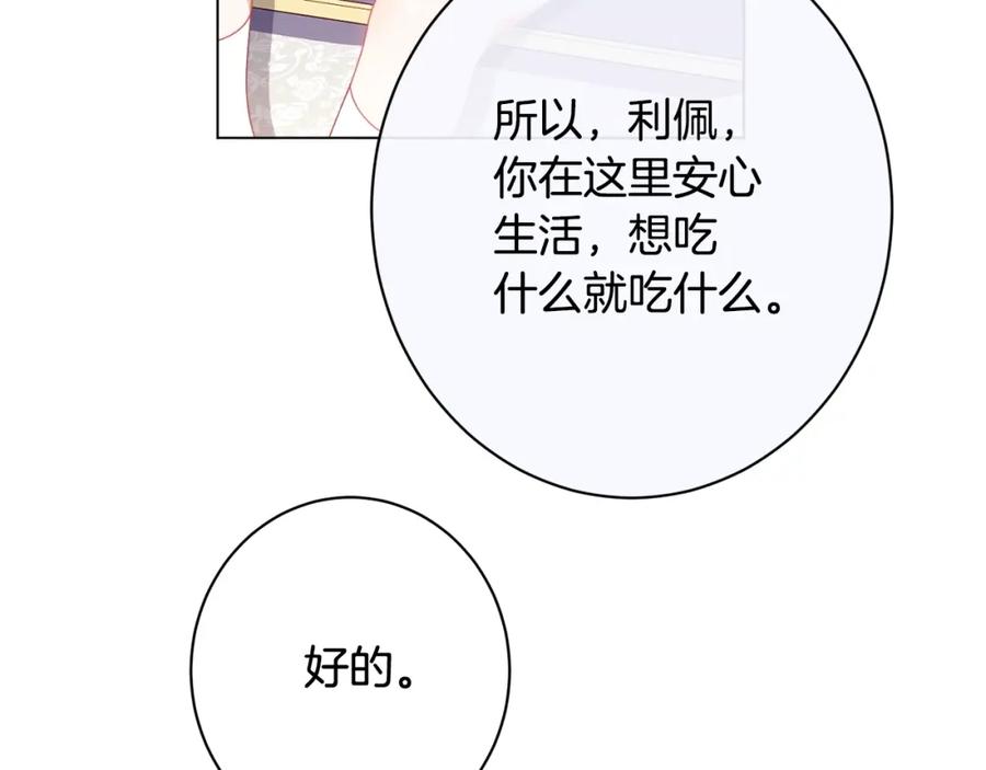 第516页