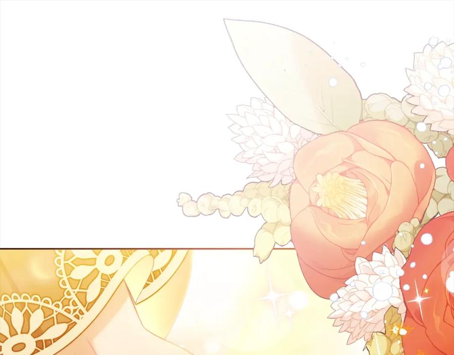 第224页