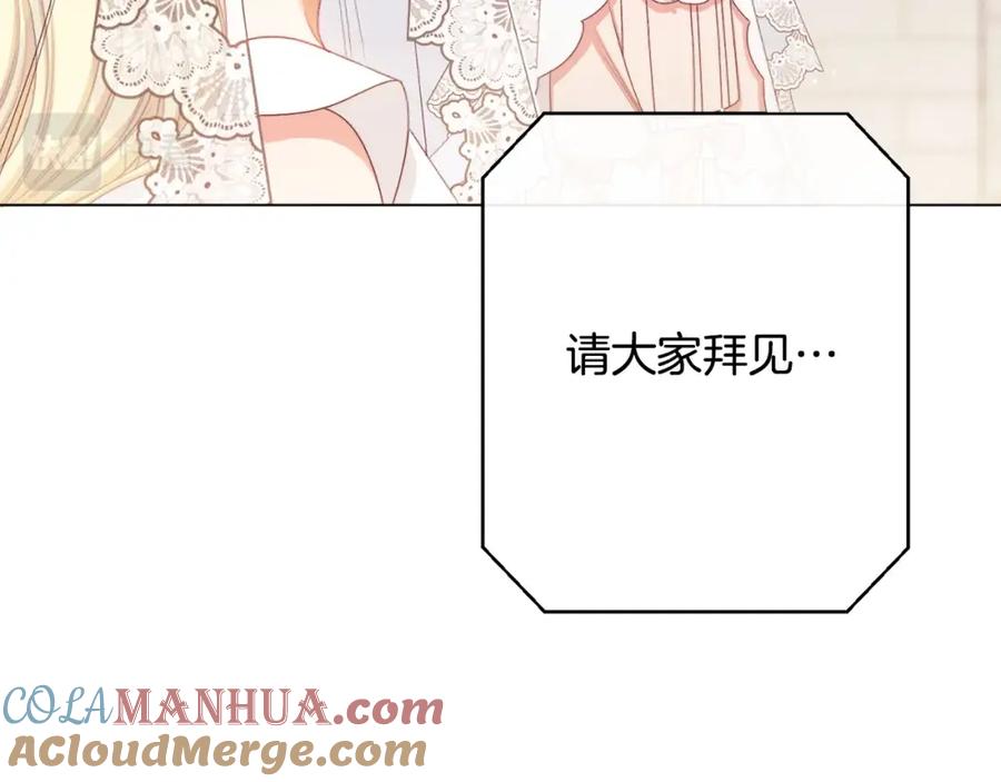 第242页