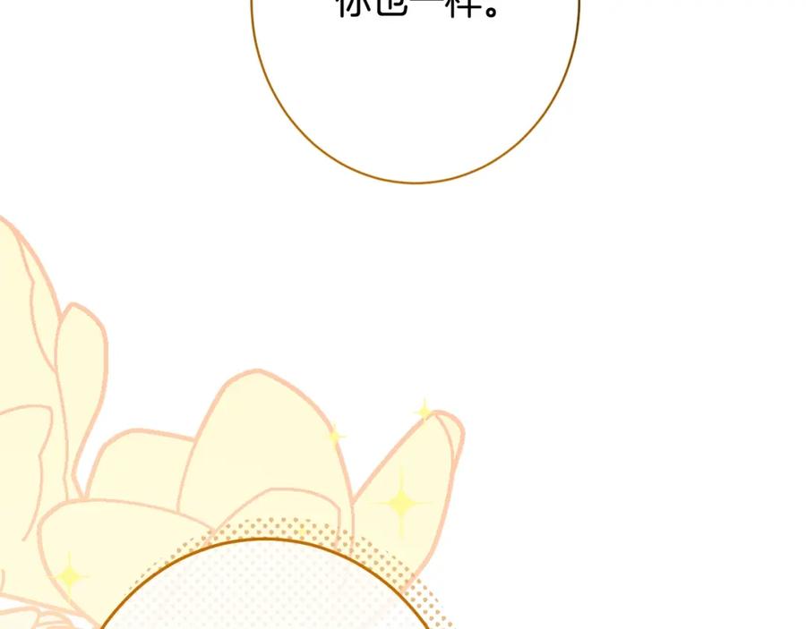 第340页