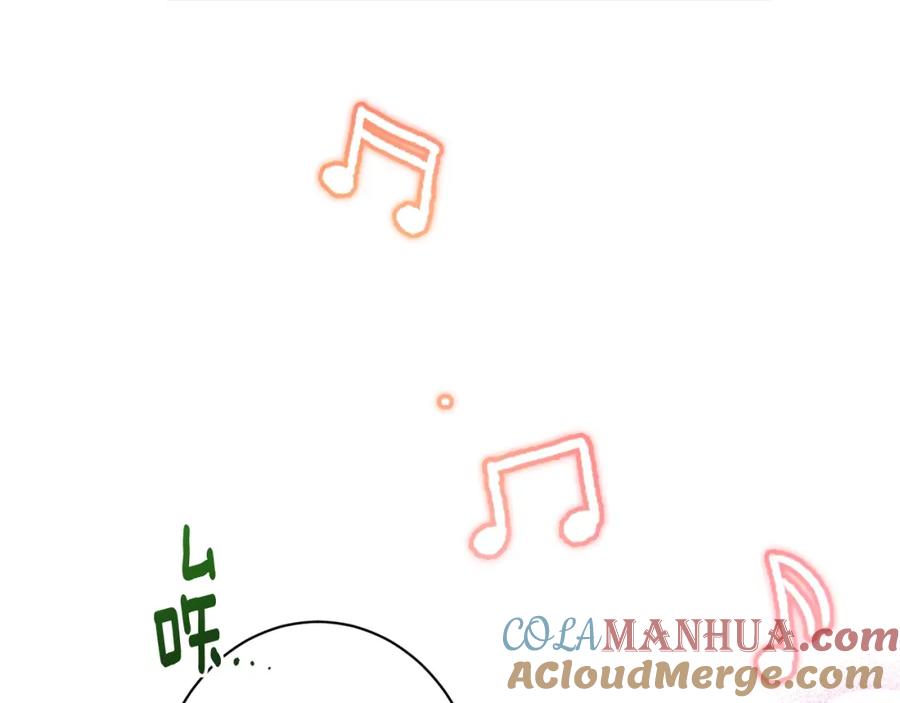 第482页