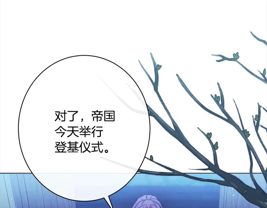 第242页