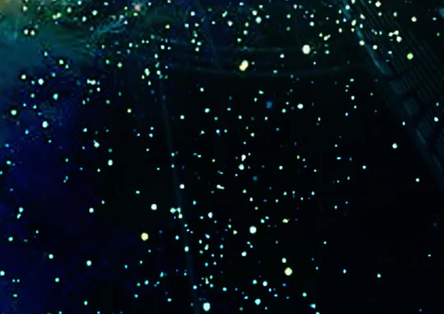 第62页