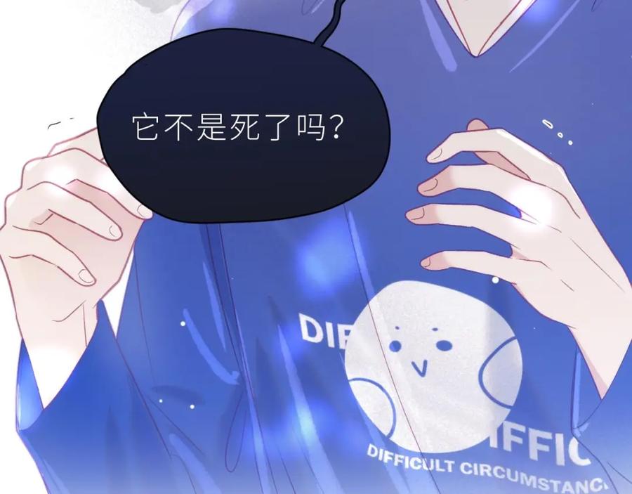第186页