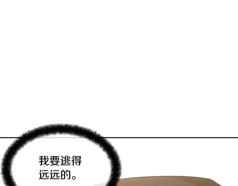 第243页