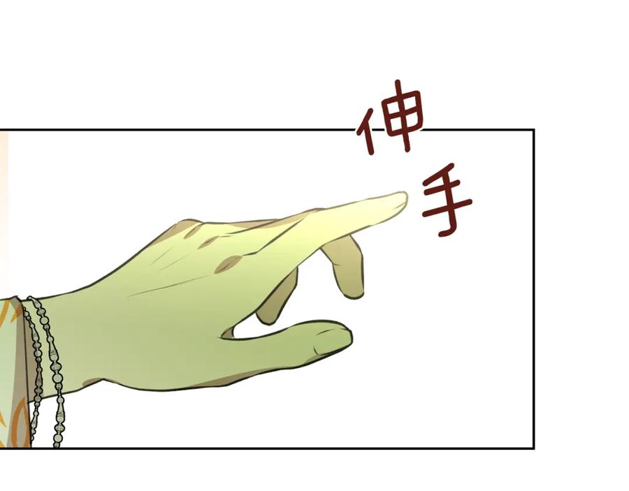 第204页