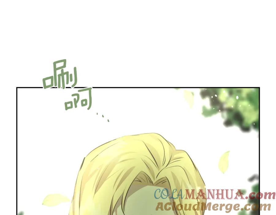 第213页