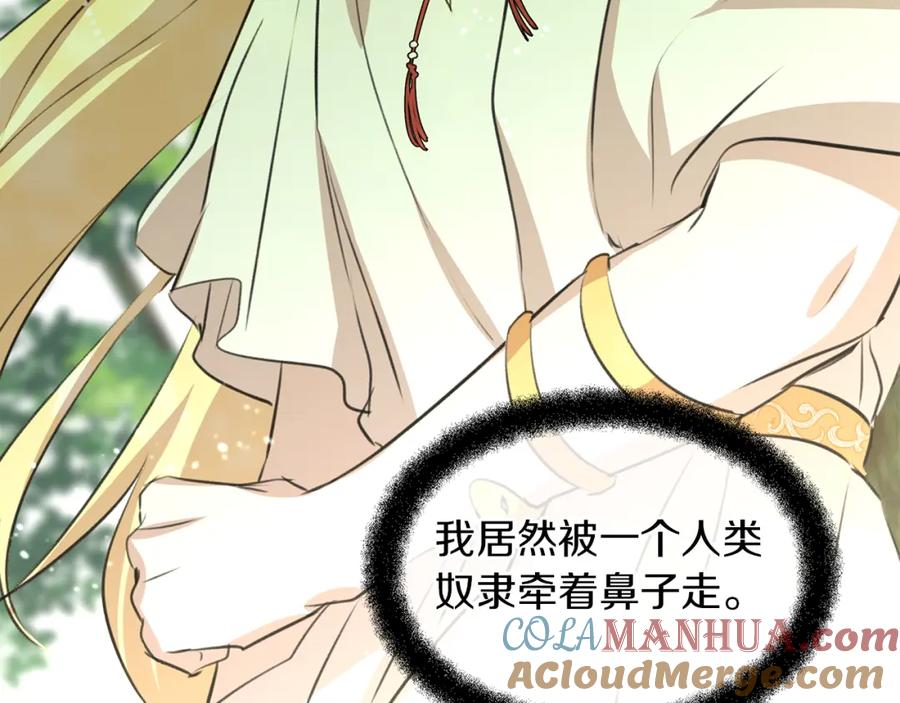 第205页
