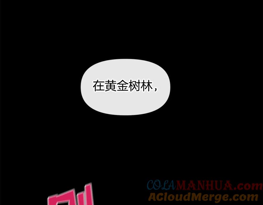 第217页