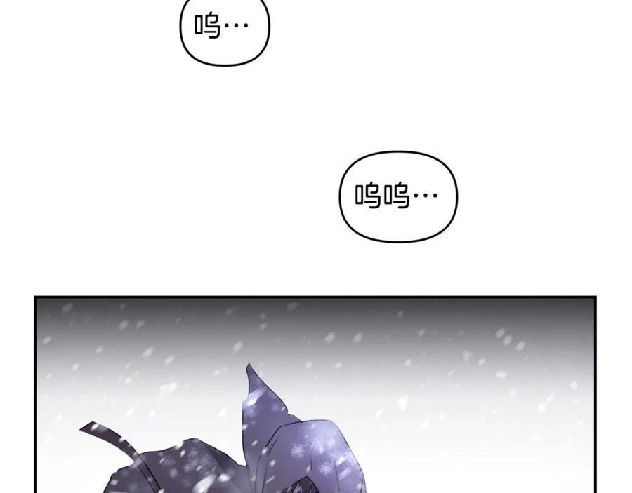 第248页