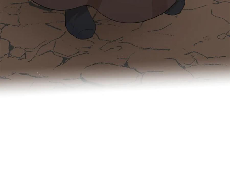 第214页
