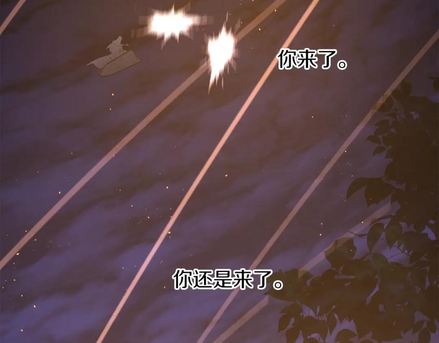 第215页