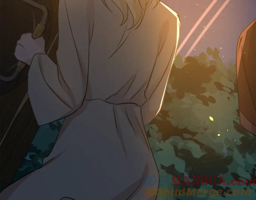 第217页