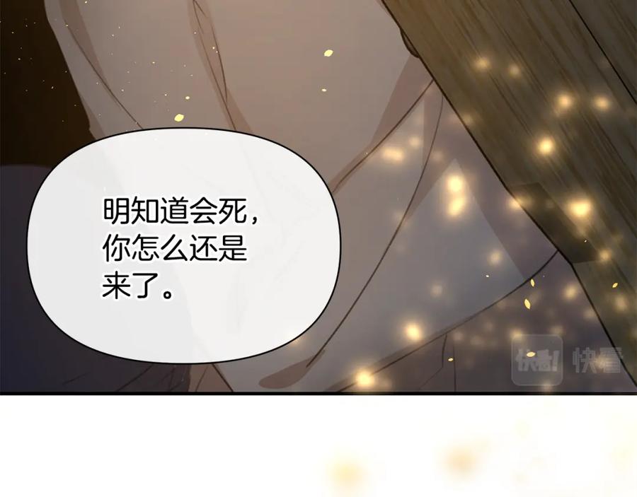 第228页