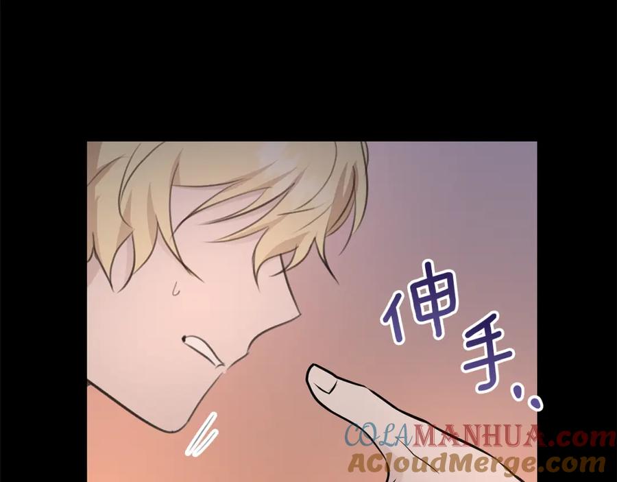 第217页
