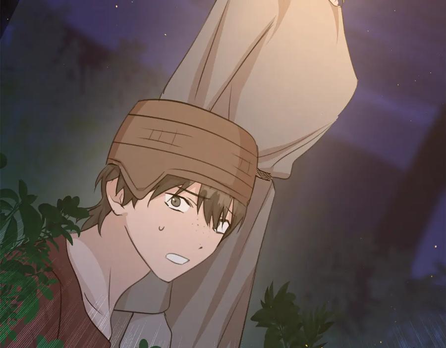 第213页