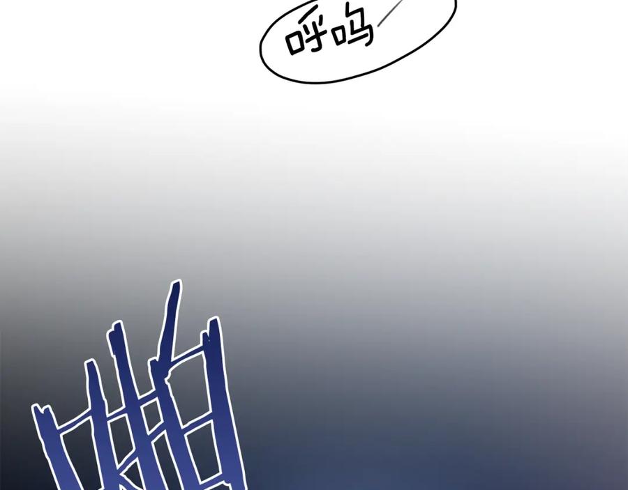 第215页