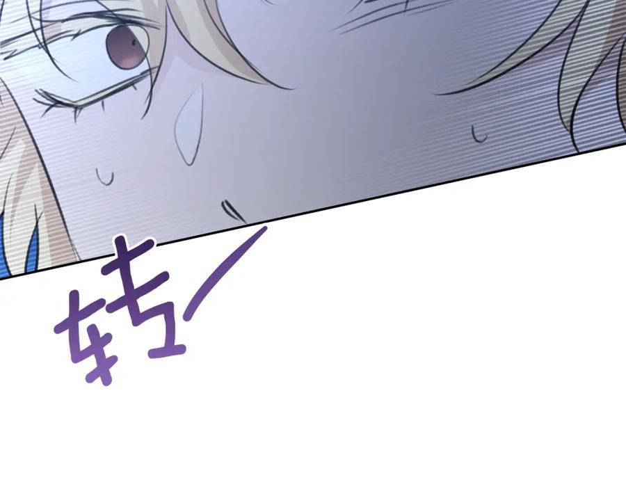 第223页