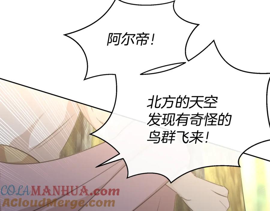第193页