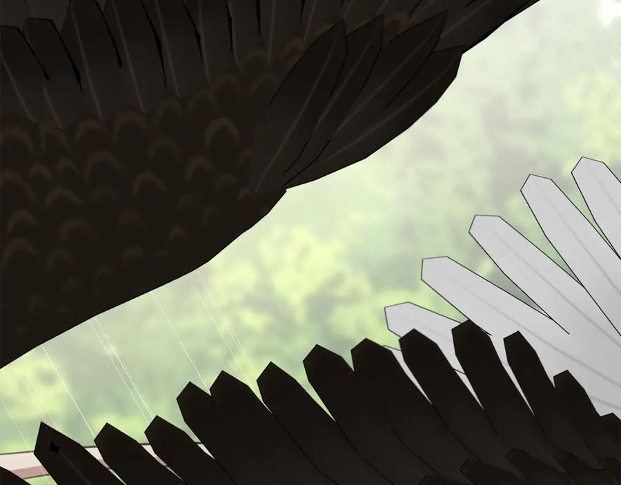第211页