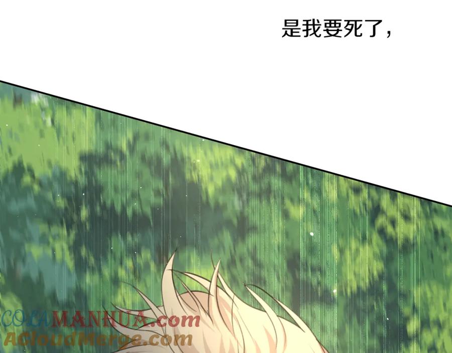 第217页