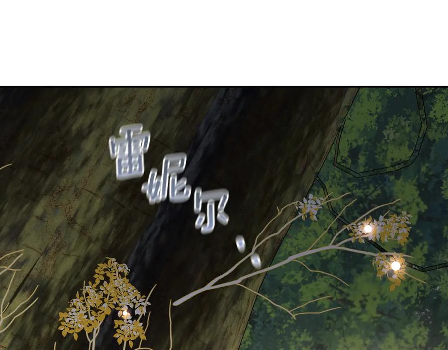 第223页