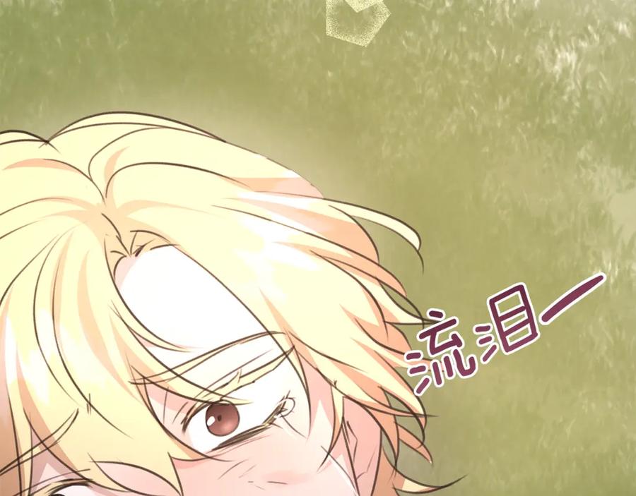 第231页