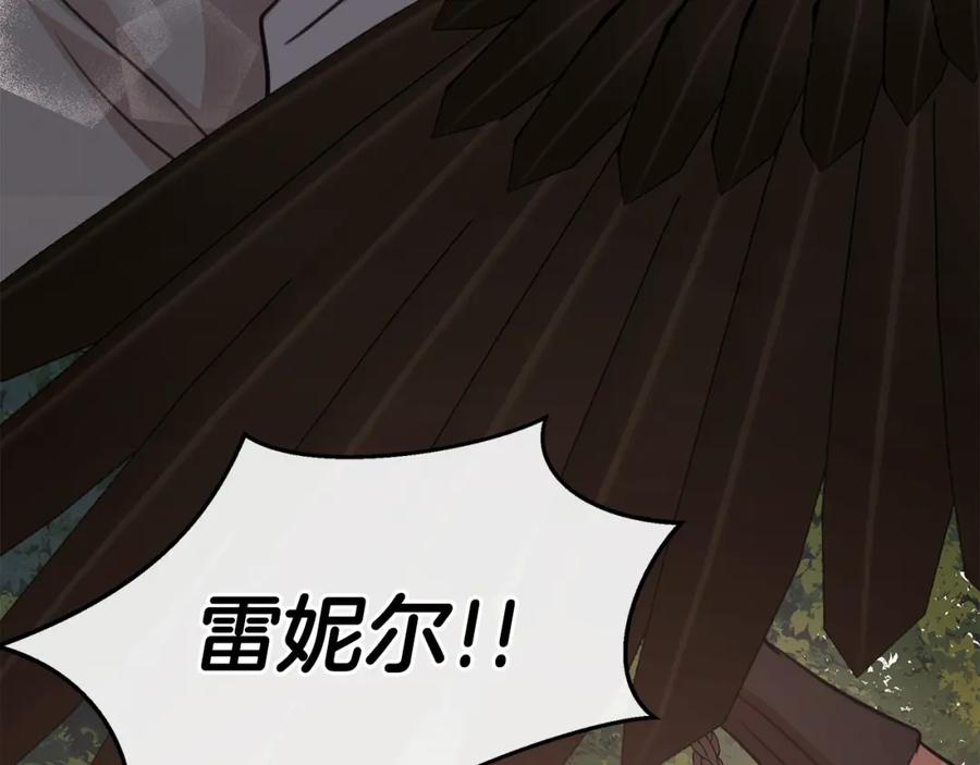 第233页