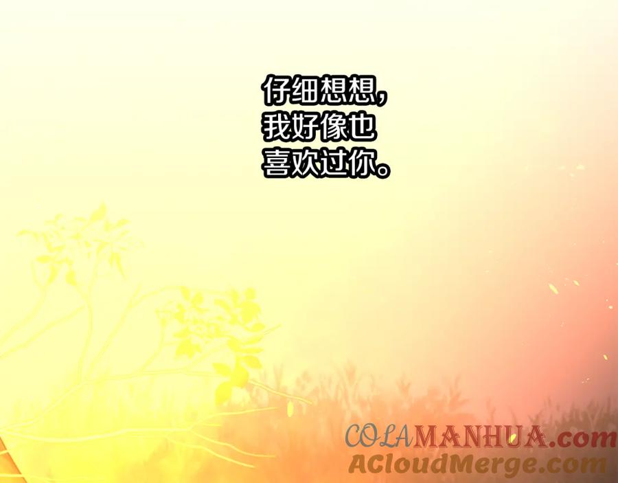 第213页